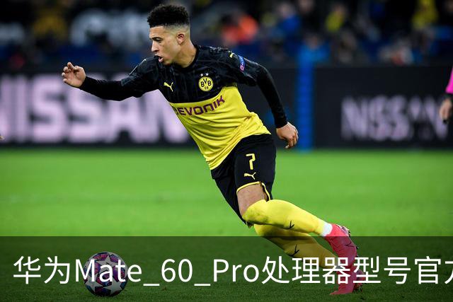华为Mate 60 Pro处理器型号官方首次“揭秘”，搭载麒麟9000S与30、40、50、90“同台竞技”