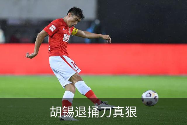 胡锡退捅刀真狠