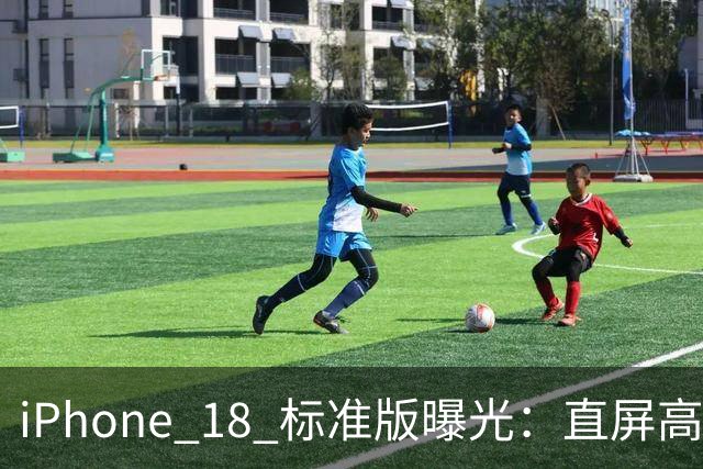 iPhone 18 标准版曝光：直屏高刷、大矩阵相机要来了